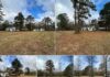 Land with 8.34 Acres in Taylor, Arkansas